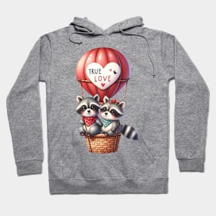 Valentine Raccon Couple On Hot Air Balloon Hoodie